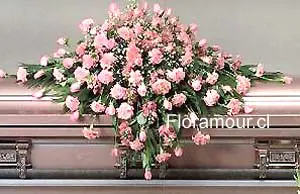 Gran óvalo fúnebre de claveles