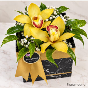 orquideas